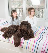 Juego de sábanas Barbie™, algodón 100%, diseño Unique, 002 Multicolor  