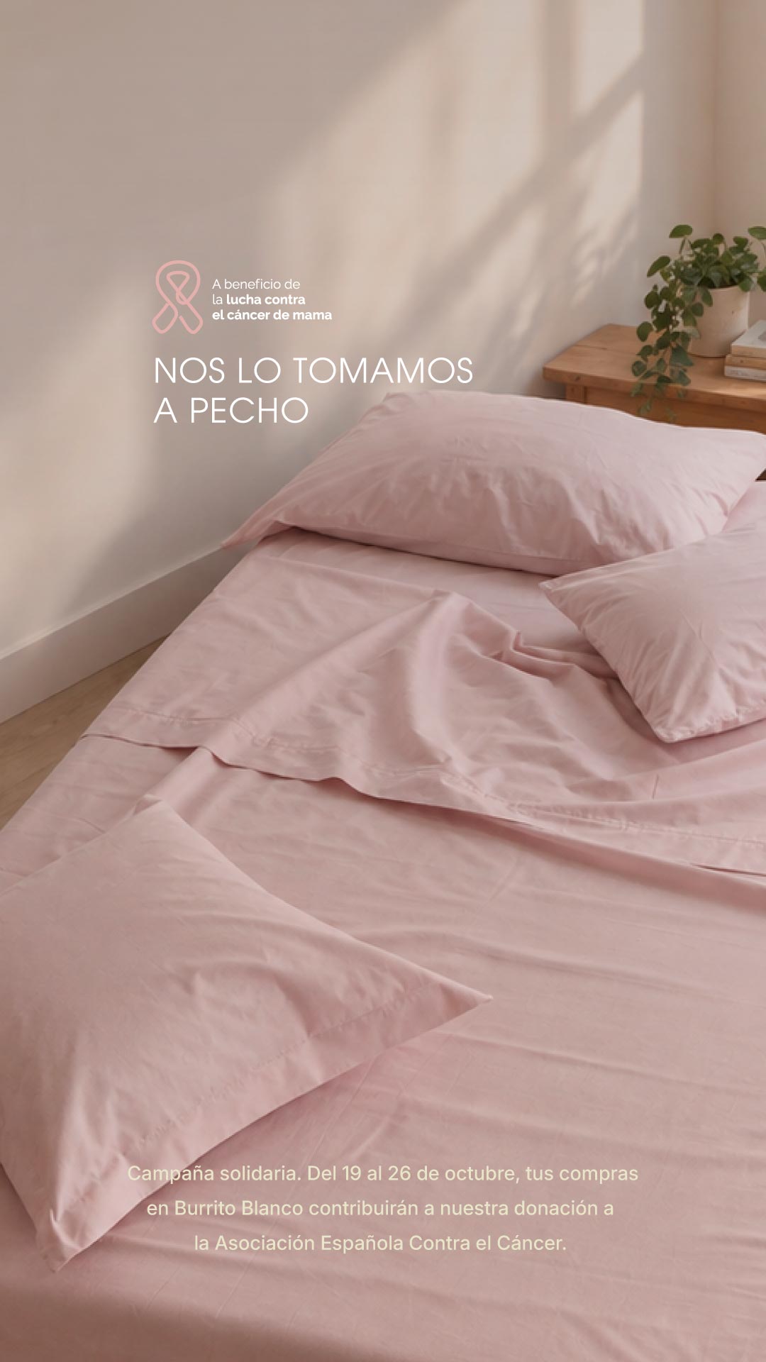 rebajas burrito blanco